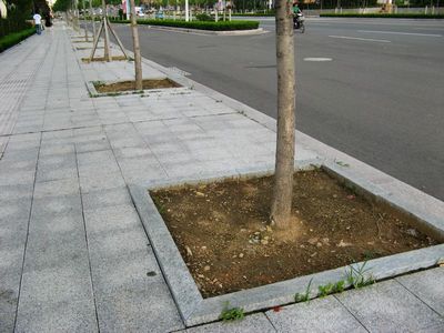 五莲花树边石案例.jpg