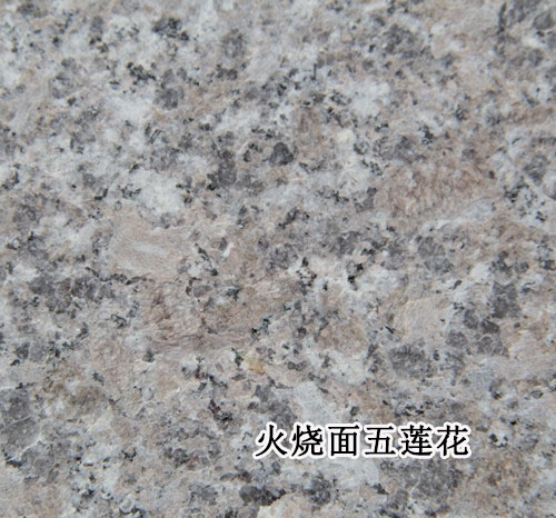 五莲花（火烧面）.jpg